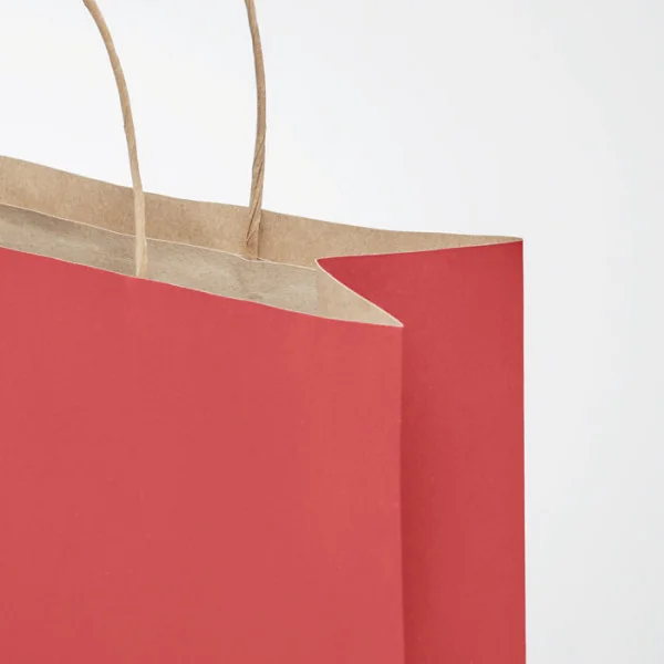 Sac cadeau en papier M 25 x 11 x 32 cm