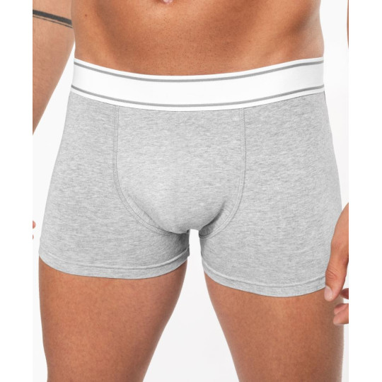 Boxer Kariban